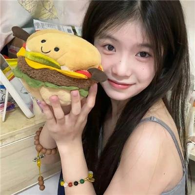 双子座计划